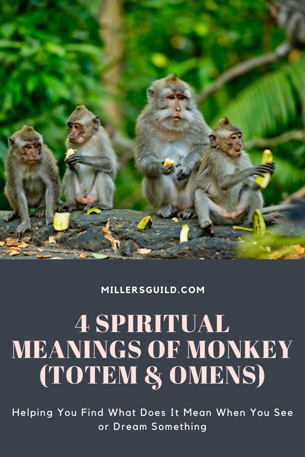 4 Spiritual Meanings of Monkey (Totem & Omens) 2