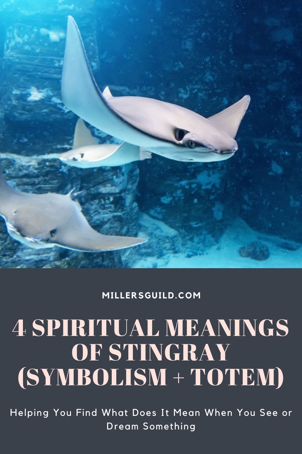 4 Spiritual Meanings of Stingray (Symbolism + Totem) 1