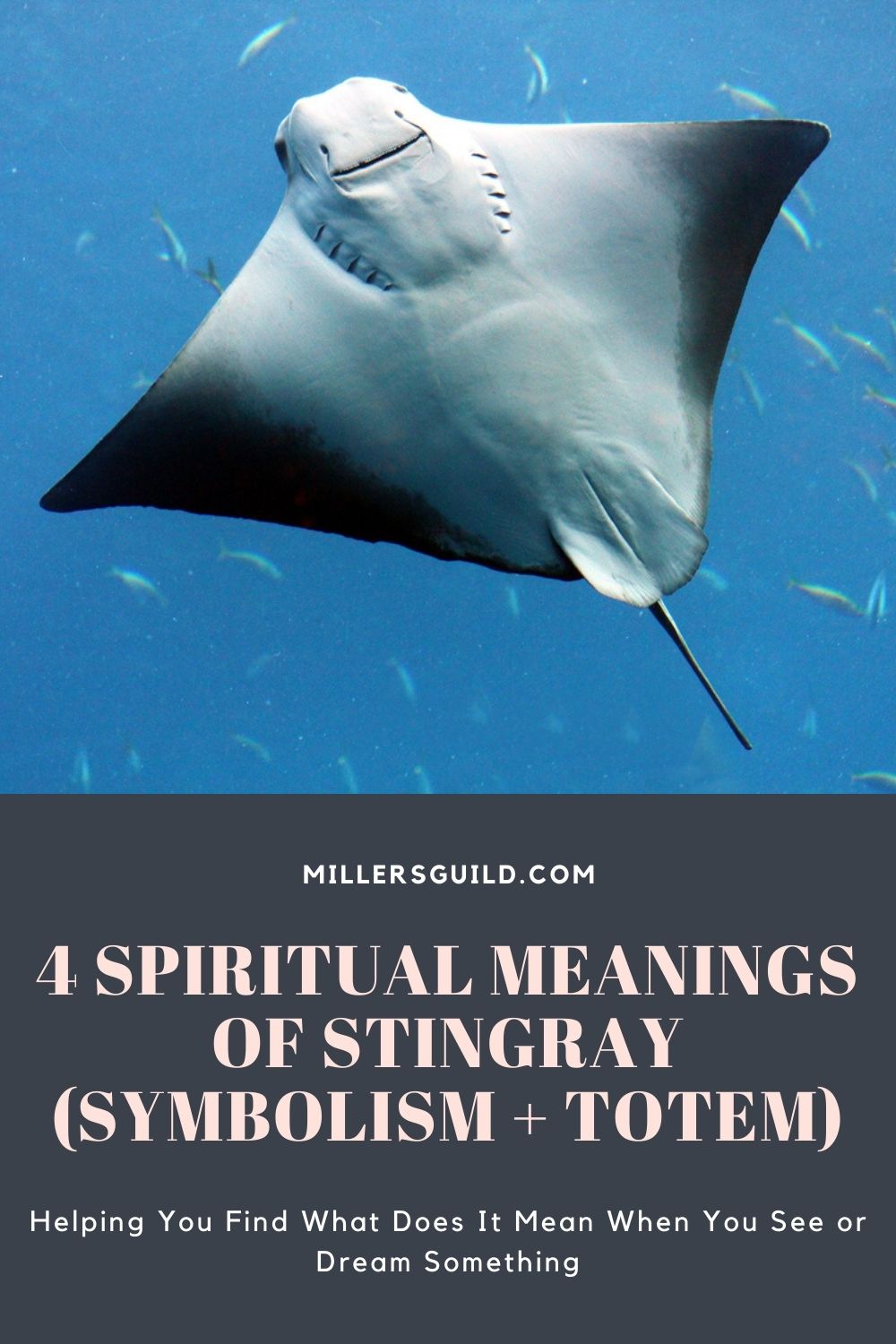 4 Spiritual Meanings of Stingray (Symbolism + Totem) 2