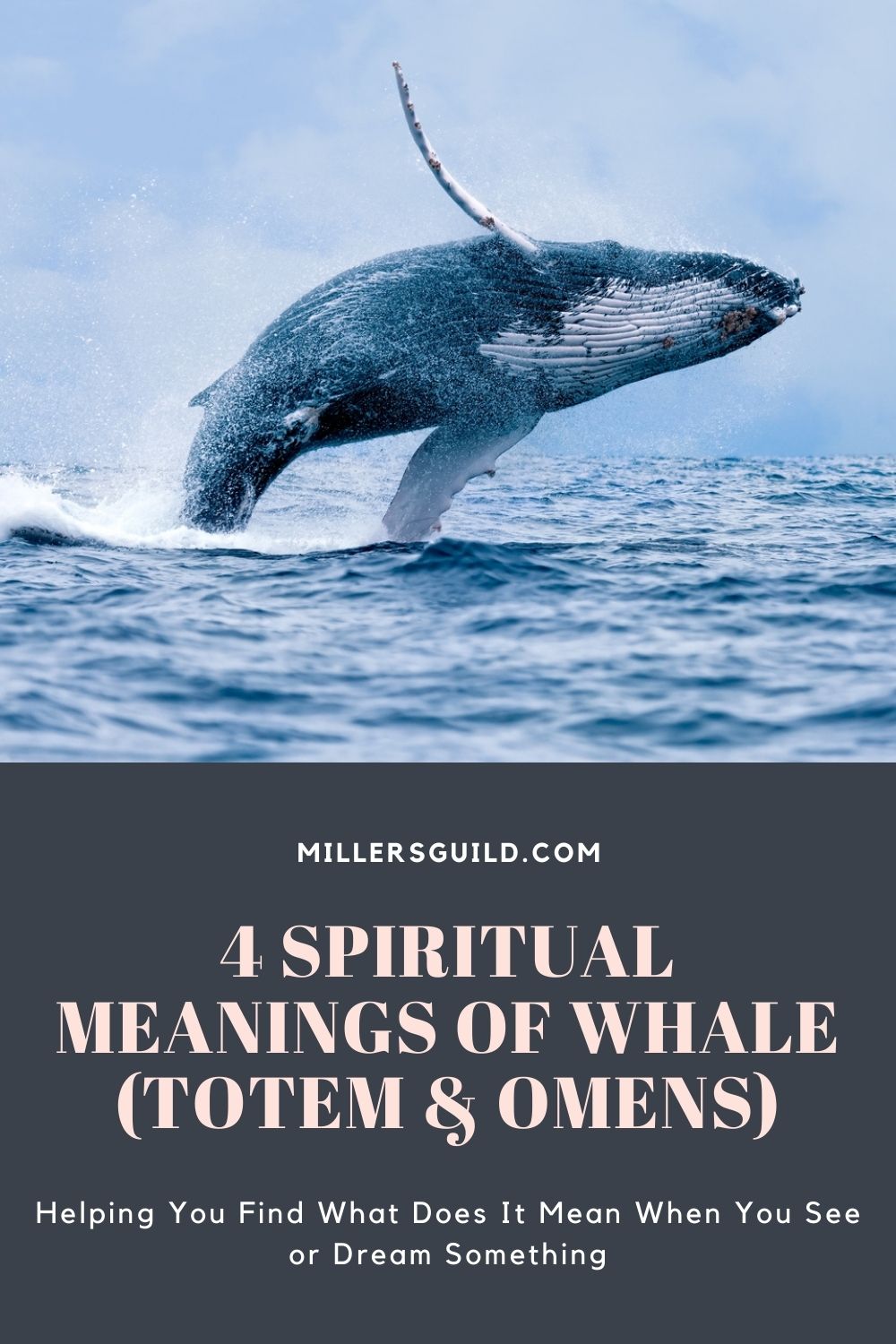 4 Spiritual Meanings of Whale (Totem & Omens) 1