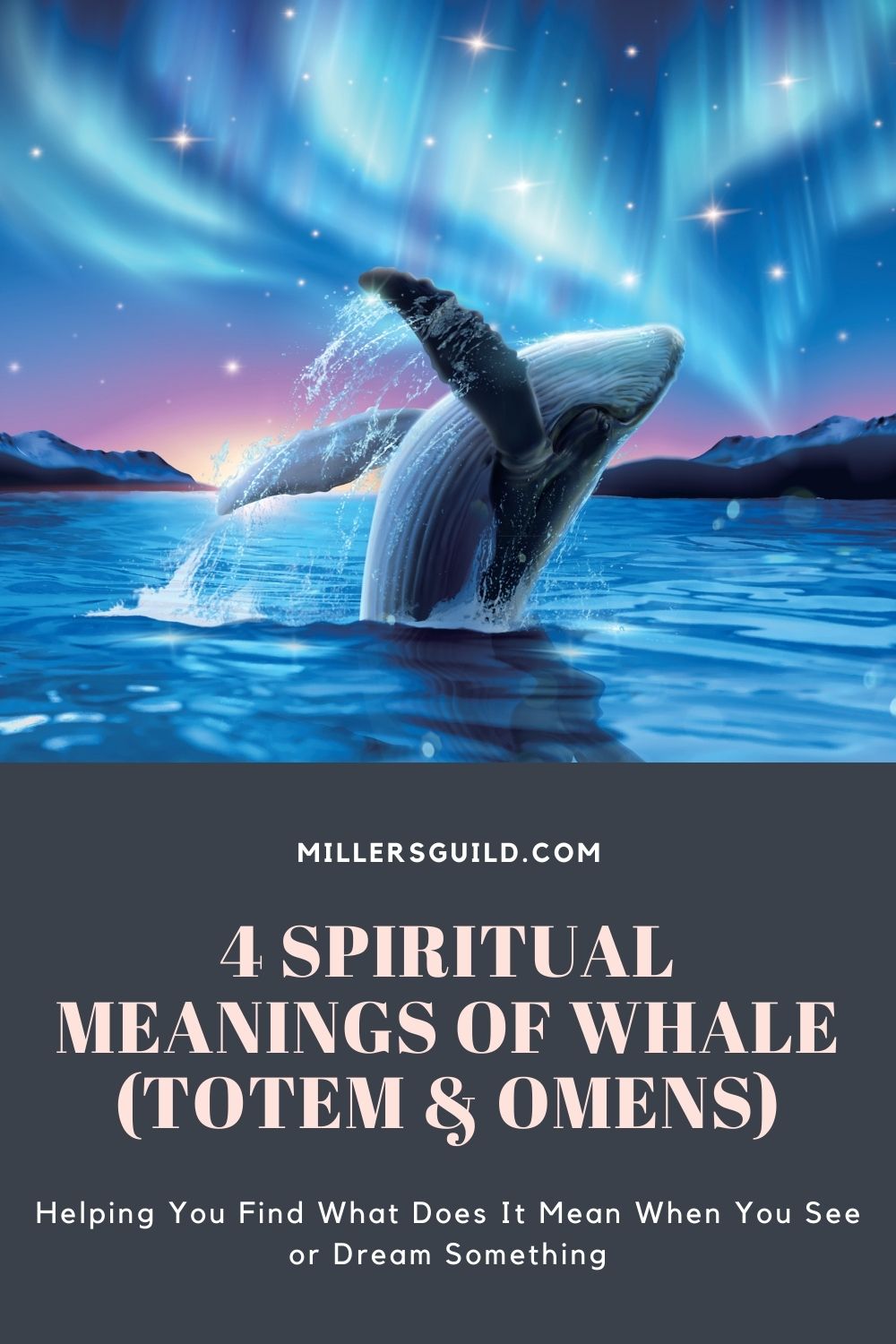 4 Spiritual Meanings of Whale (Totem & Omens) 2