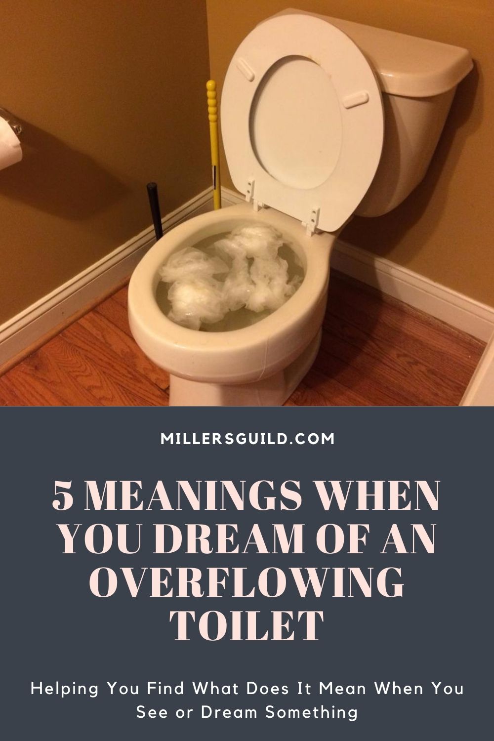 5 Meanings When You Dream of an Overflowing Toilet 1