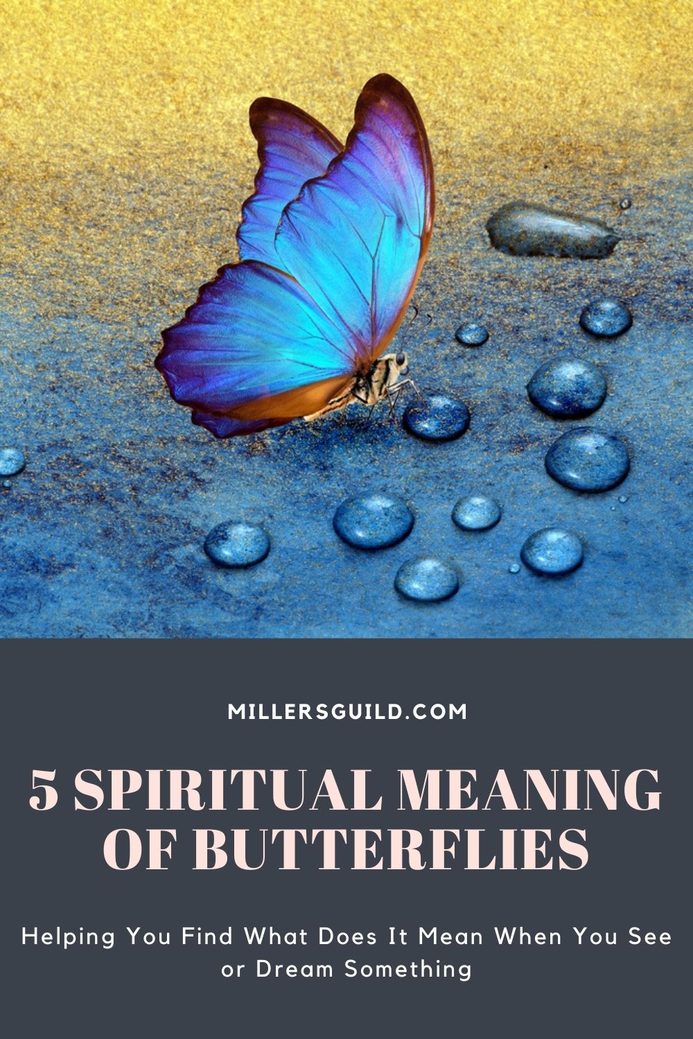 5 Spiritual Meaning of Butterflies 2