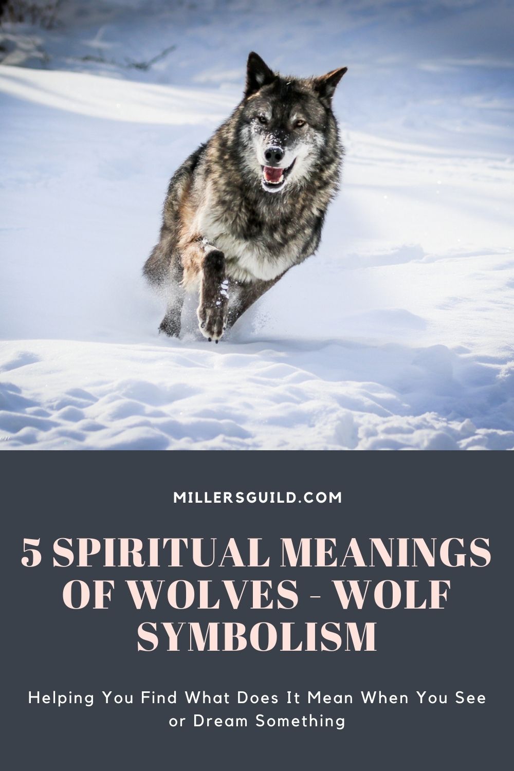 5 Spiritual Meanings of Wolves - Wolf Symbolism 1