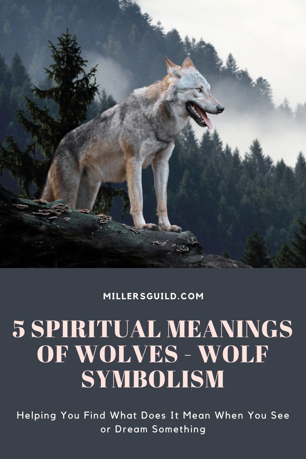 5 Spiritual Meanings of Wolves - Wolf Symbolism 2
