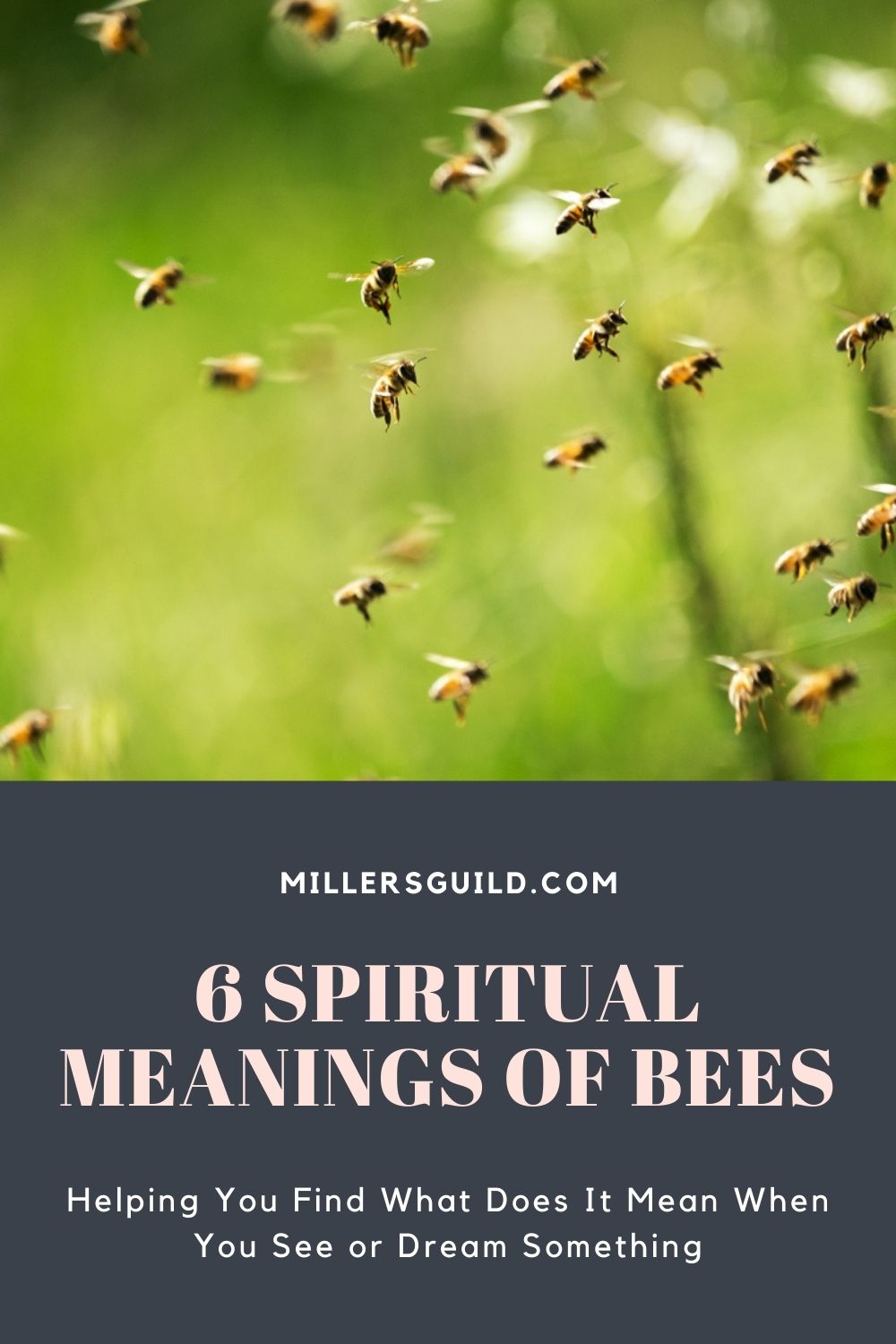 6 Spiritual Meanings of Bees 1