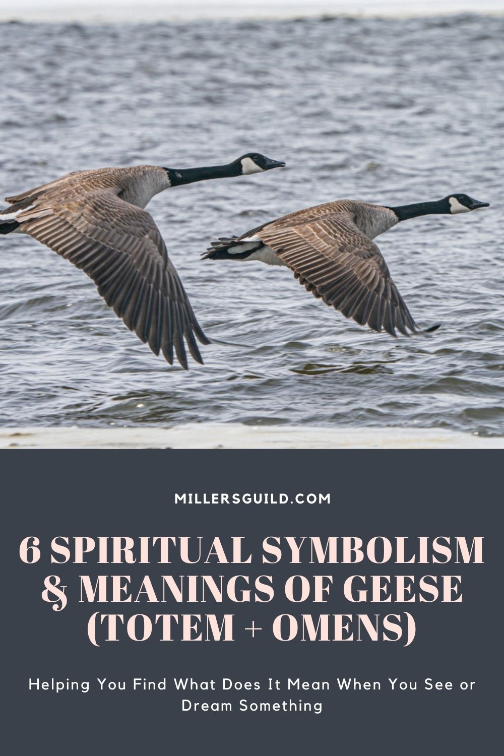 6 Spiritual Symbolism & Meanings of Geese (Totem + Omens) 1
