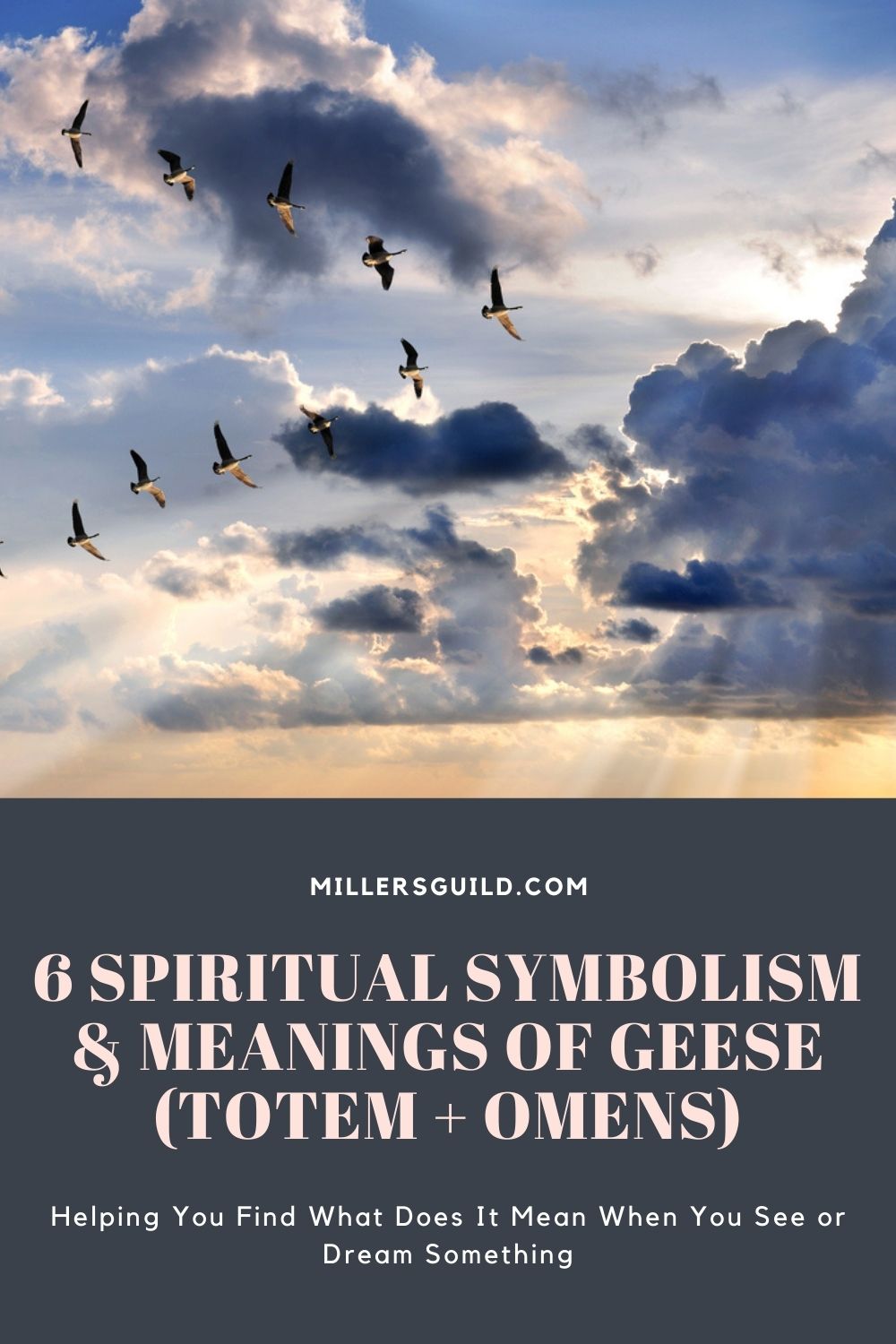 6 Spiritual Symbolism & Meanings of Geese (Totem + Omens) 2