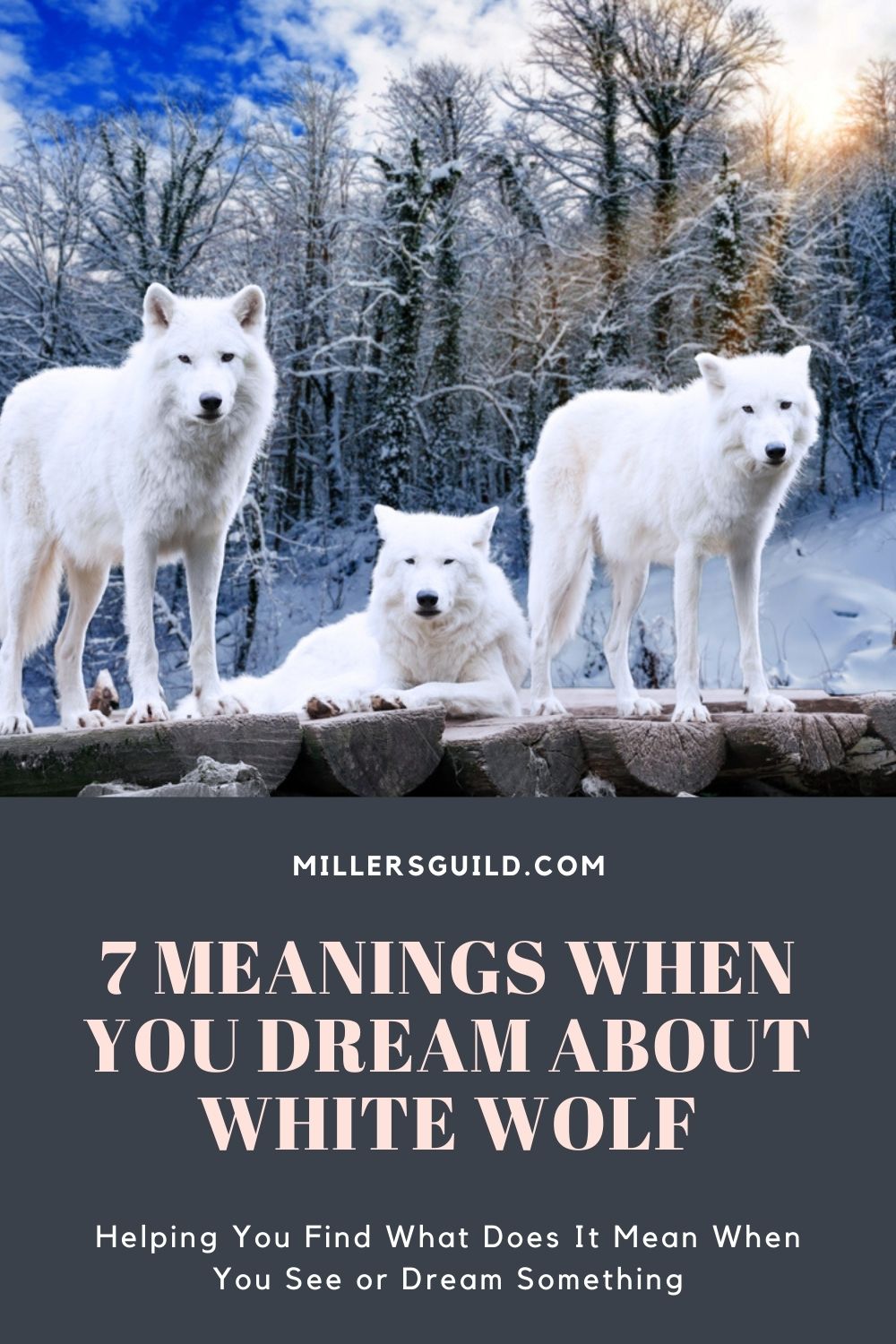 7 Meanings When You Dream About White Wolf 1