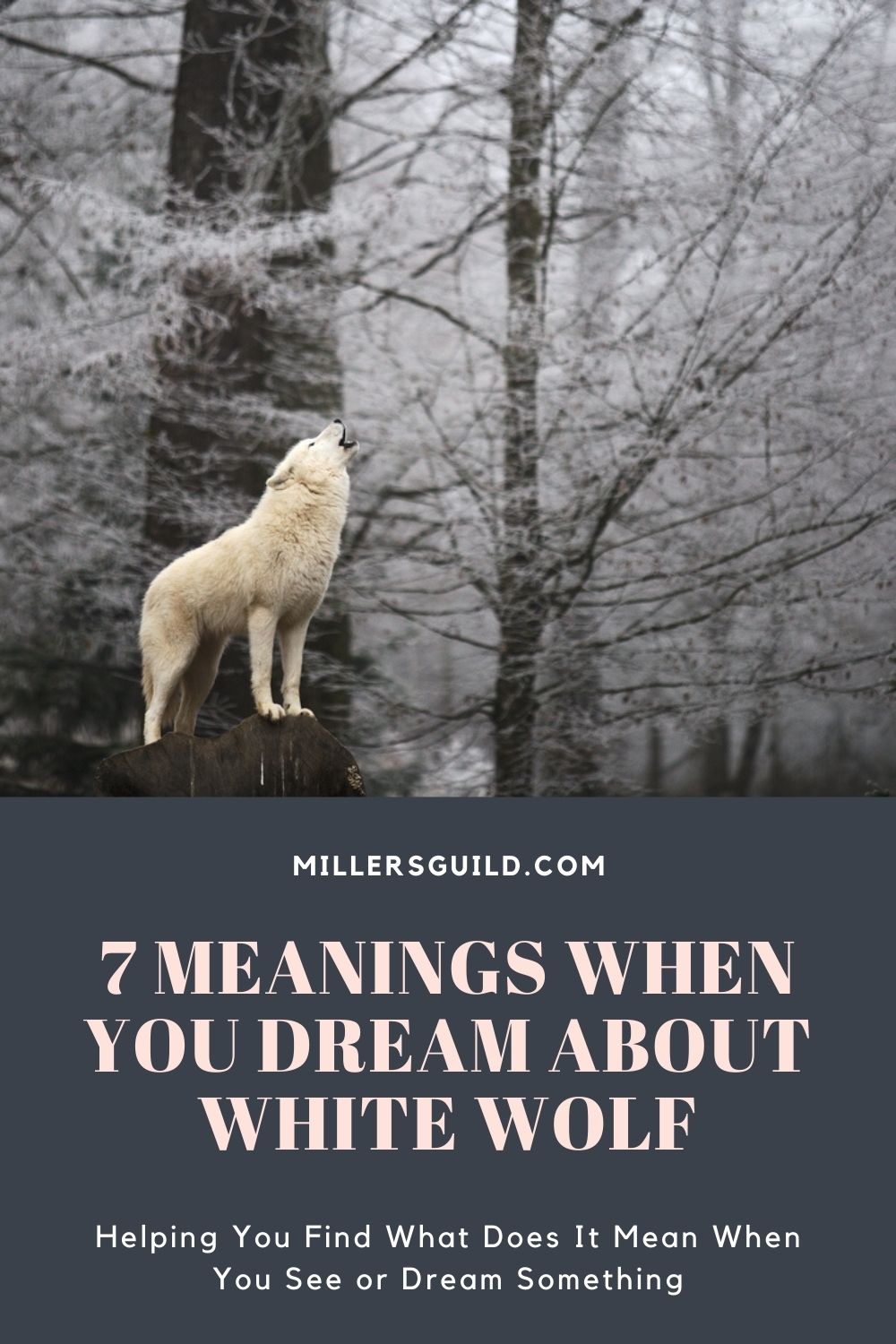 7 Meanings When You Dream About White Wolf 2