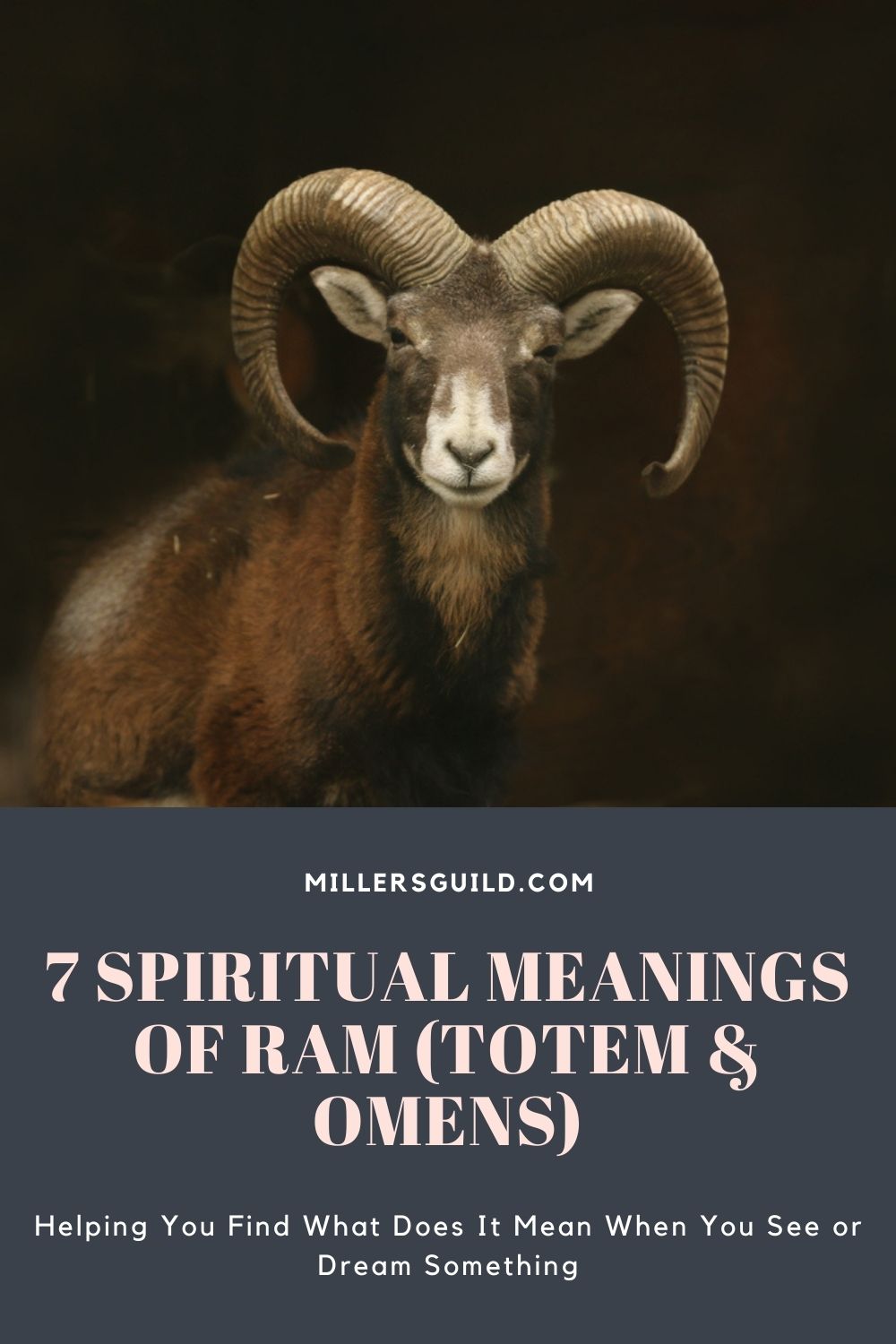 7 Spiritual Meanings of Ram (Totem & Omens) 1