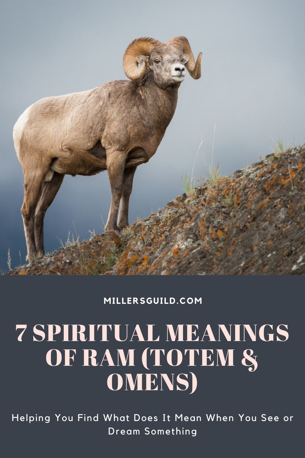 7 Spiritual Meanings of Ram (Totem & Omens) 2
