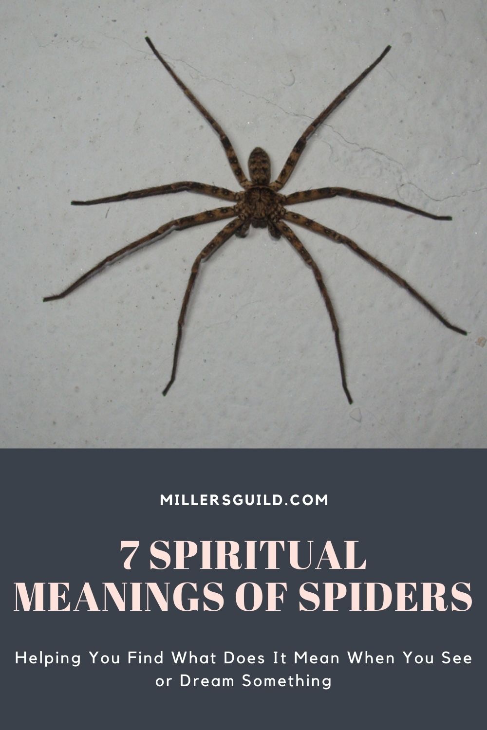 7 Spiritual Meanings of Spiders - Miller's Guild
