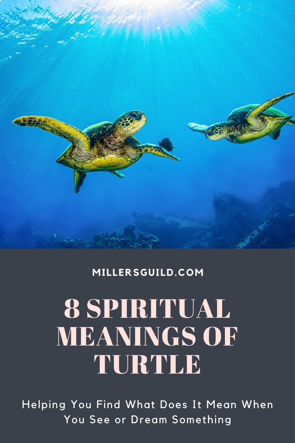 8 Spiritual Meanings of Turtle 2