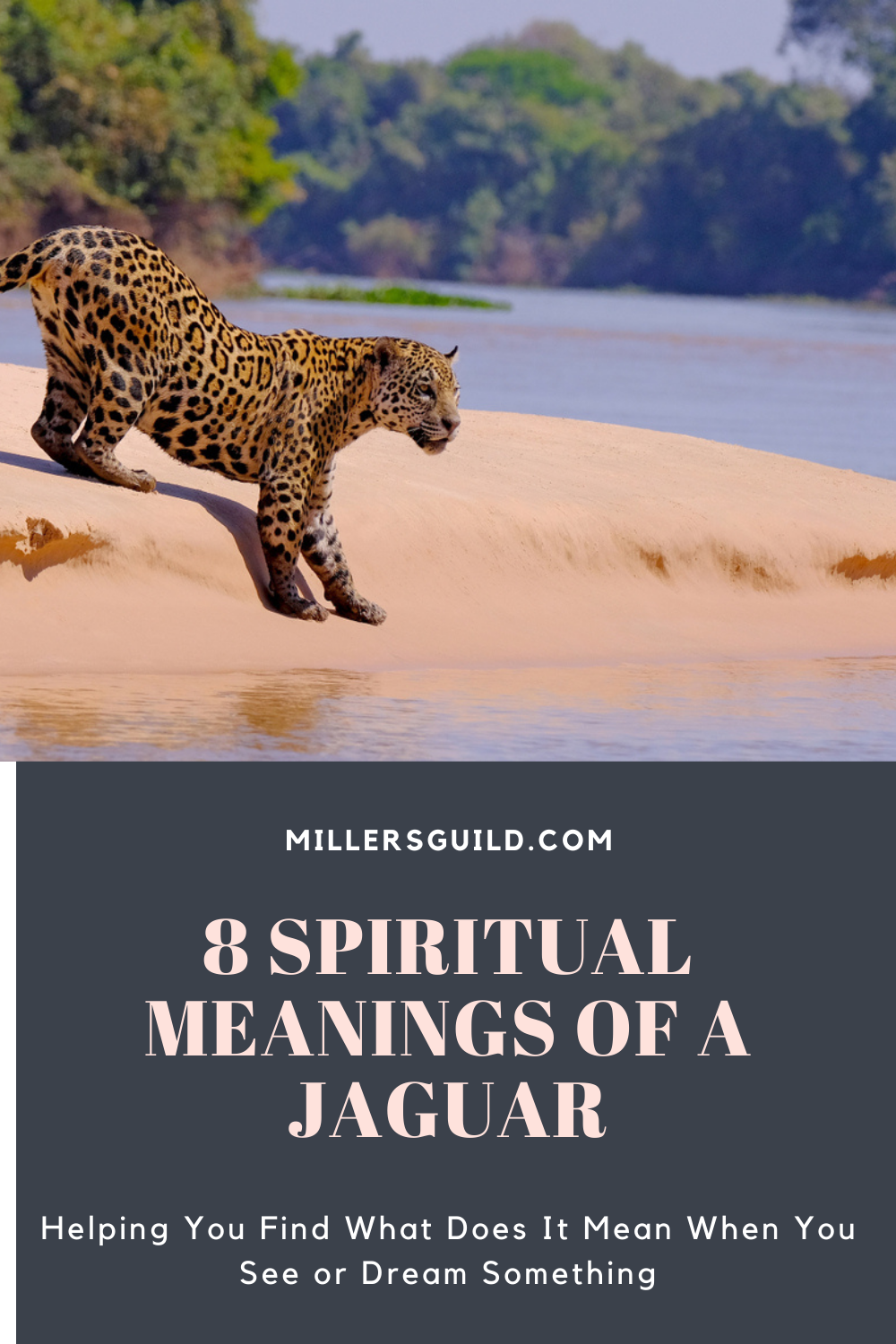 8 Spiritual Meanings of a Jaguar