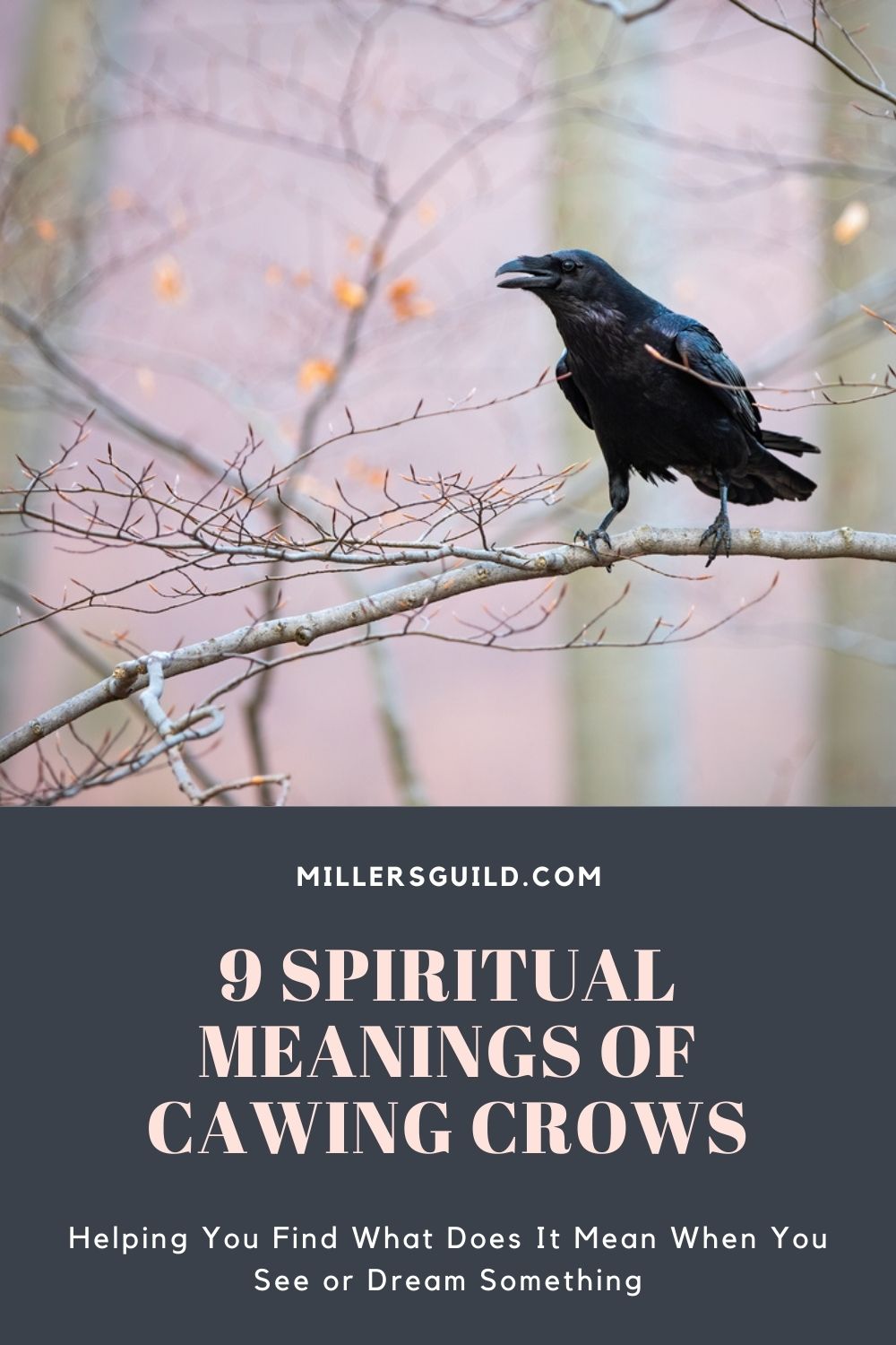 9 Spiritual Meanings Of Cawing Crows 1