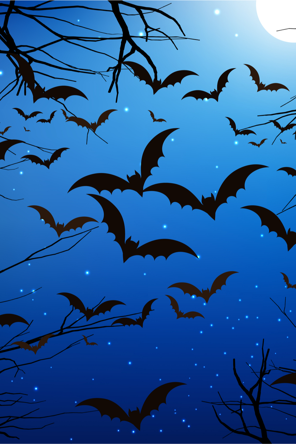 A Swarm of Bats