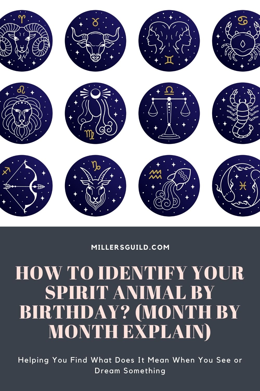 How to Identify Your Spirit Animal by Birthday (Month by Month Explain) 1