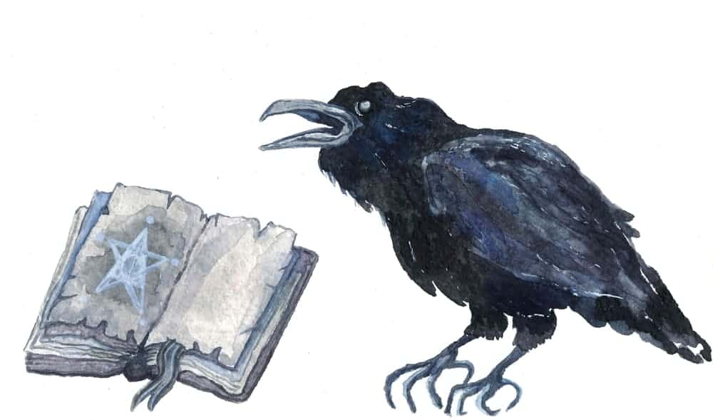 cawing crows meaning