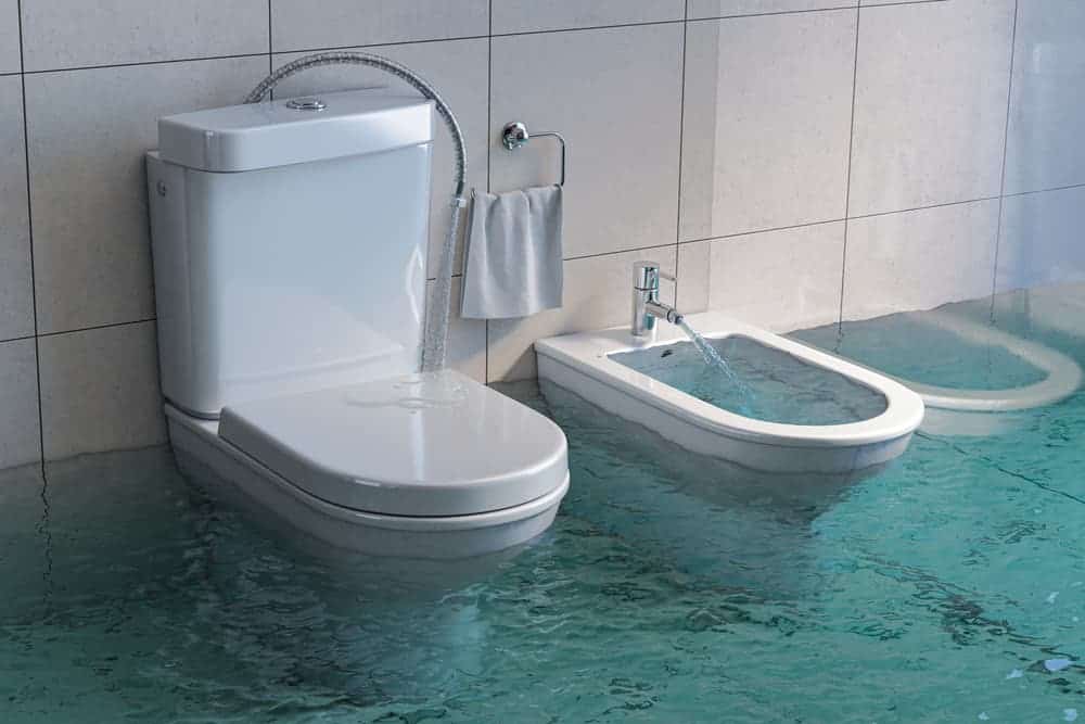 dreaming of overflowing toilet