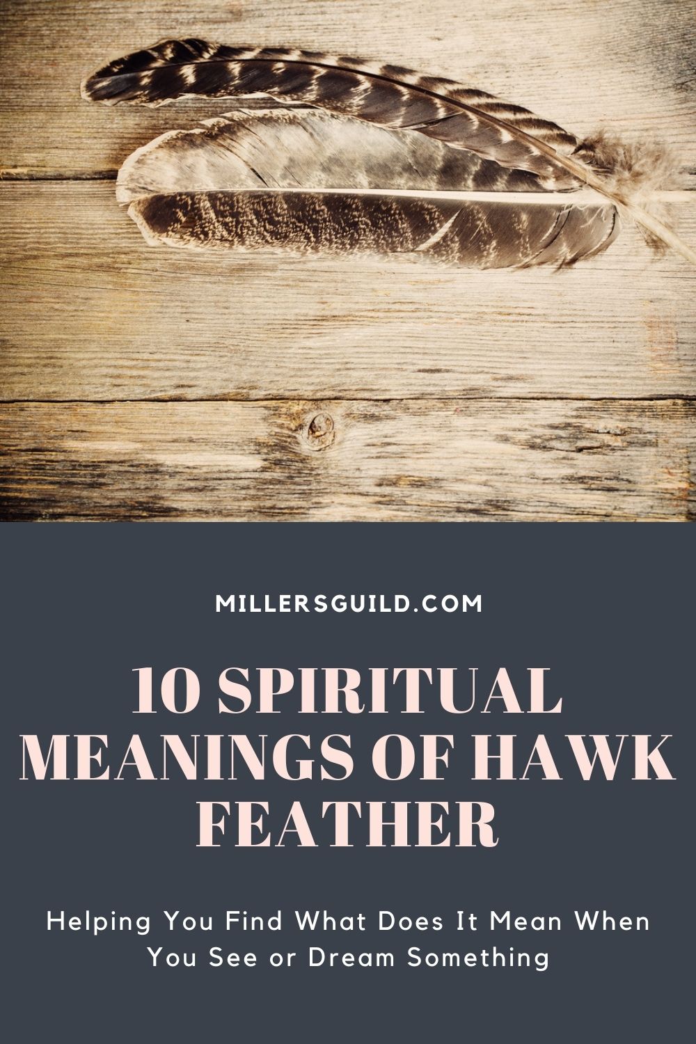 10 Spiritual Meanings of Hawk Feather 1