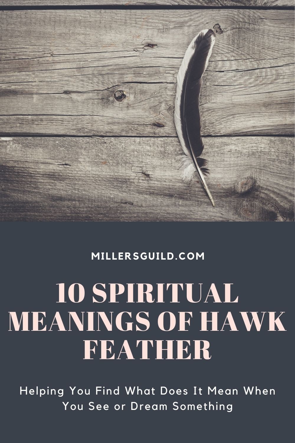 10 Spiritual Meanings of Hawk Feather 2
