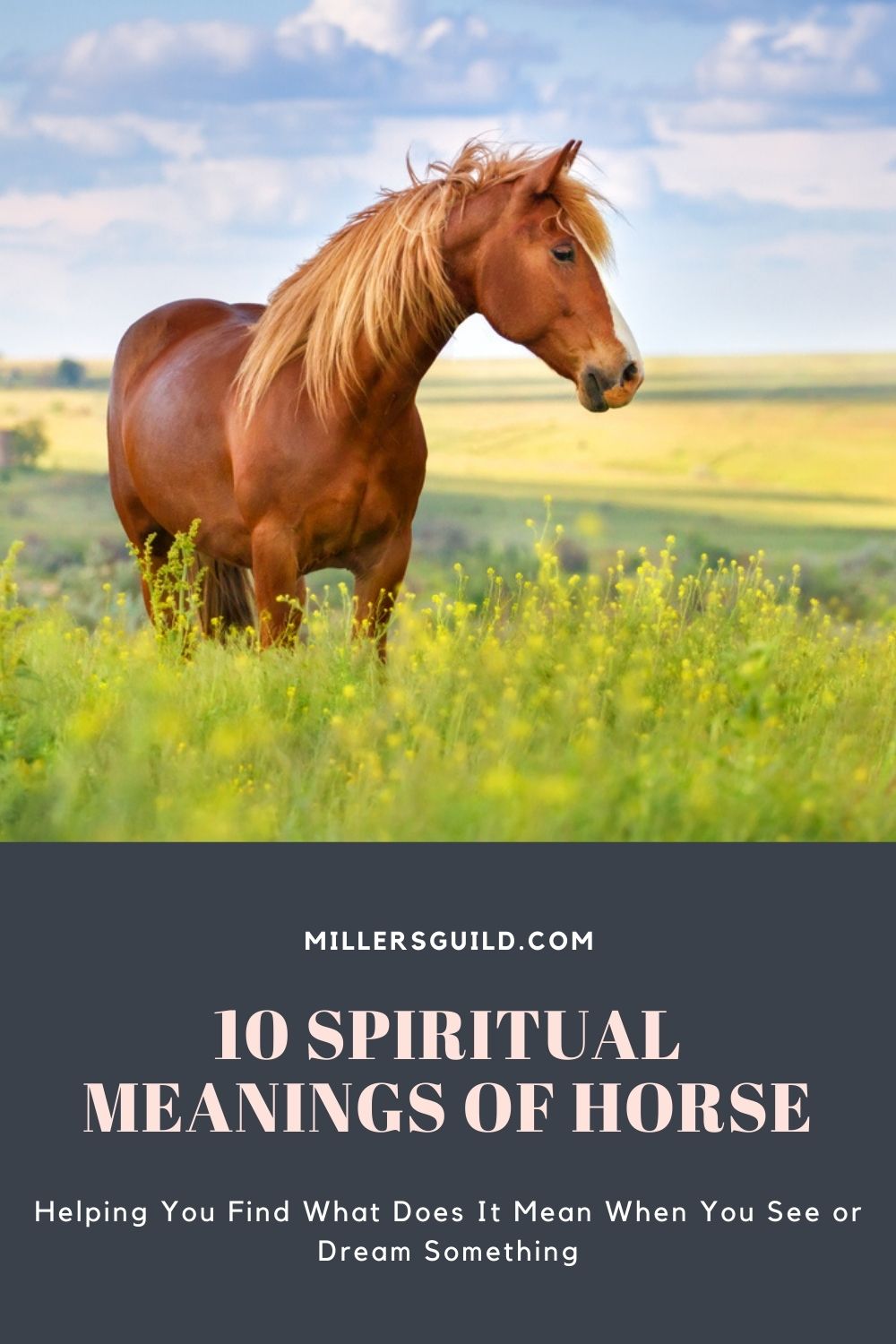 10 Spiritual Meanings of Horse 2
