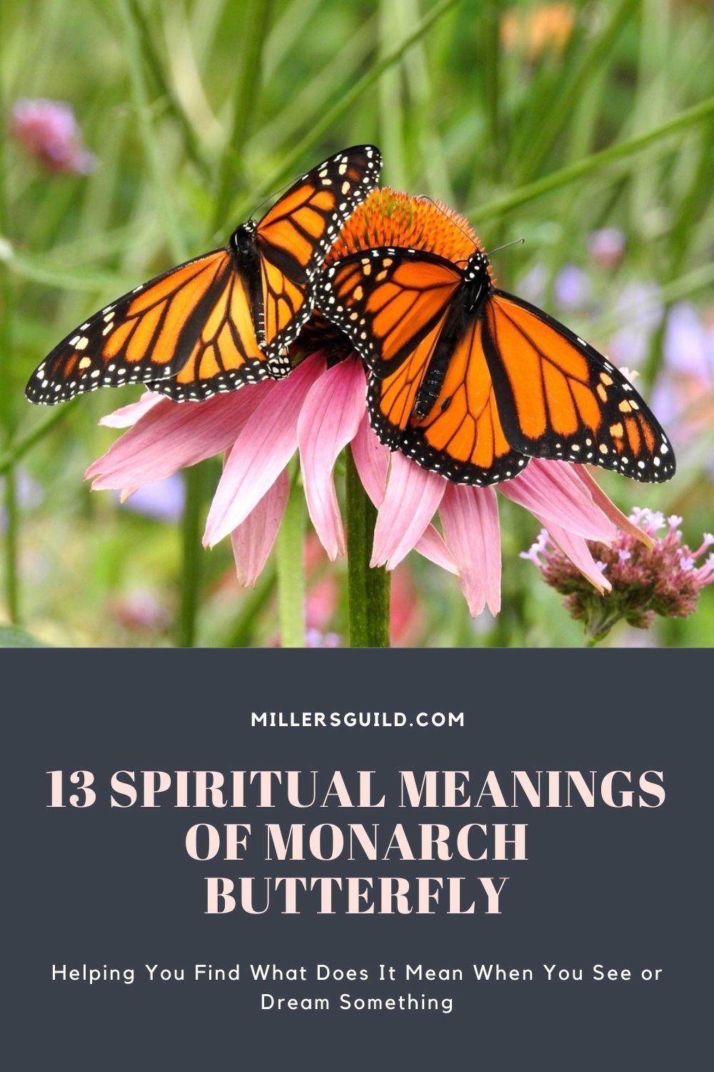 13 Spiritual Meanings of Monarch Butterfly 1