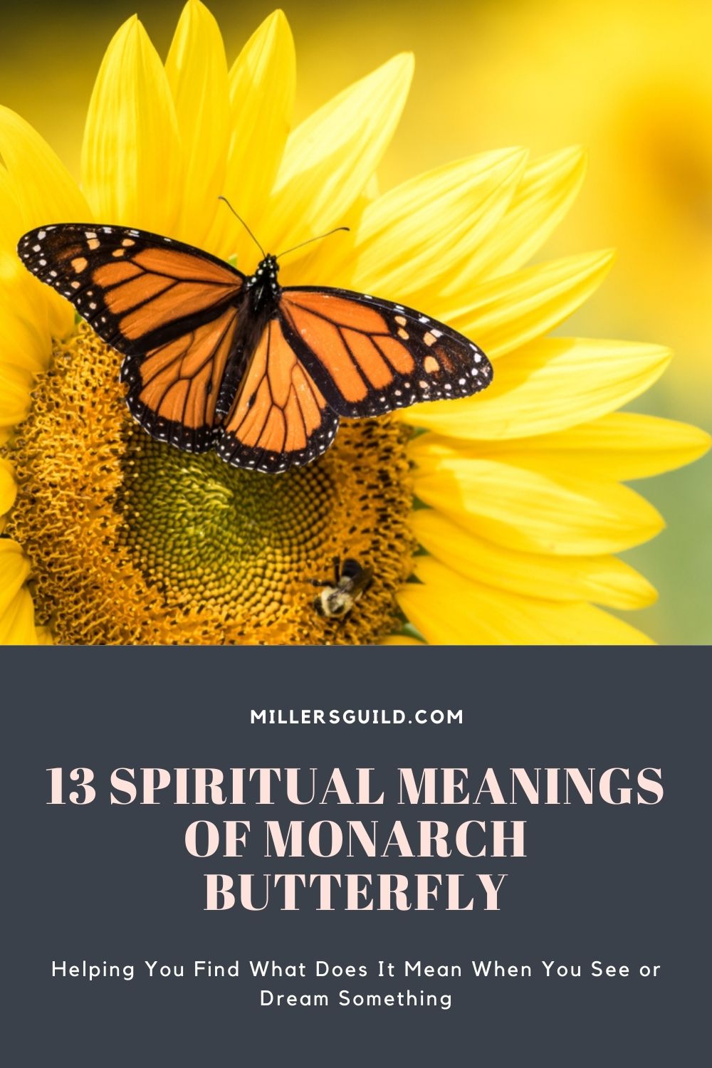 13 Spiritual Meanings of Monarch Butterfly 2