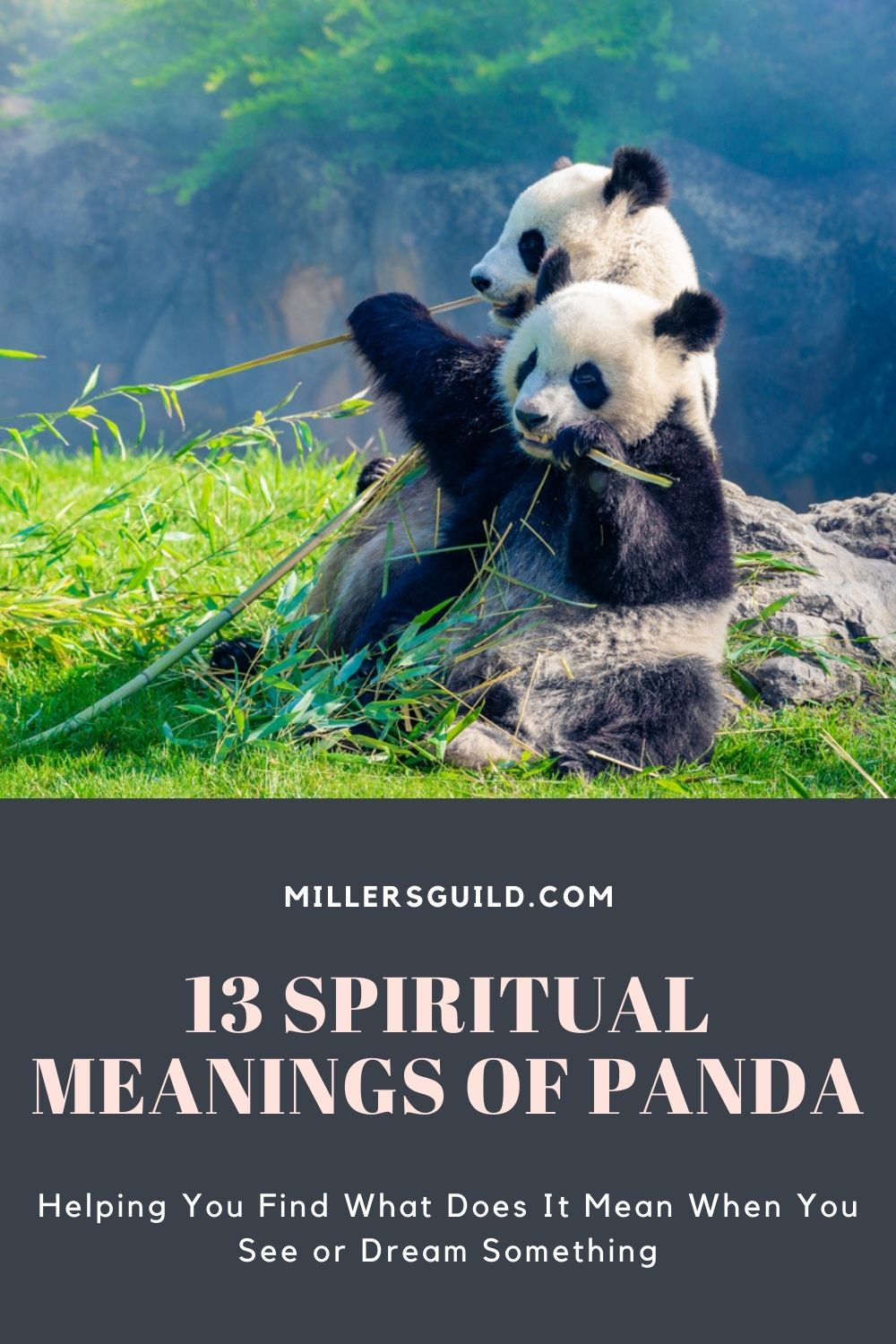 13 Spiritual Meanings of Panda 2