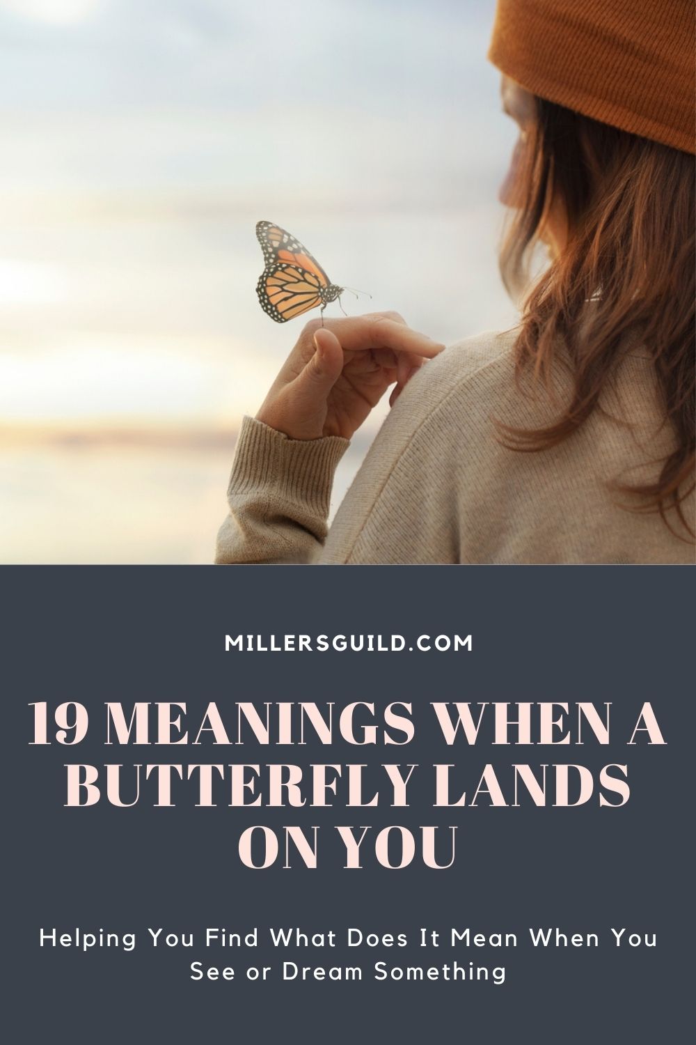 19 Meanings When A Butterfly Lands On You 2