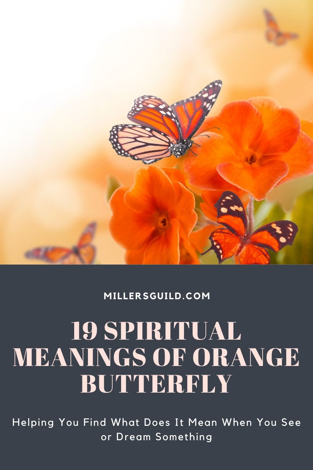 19 Spiritual Meanings of Orange Butterfly 2