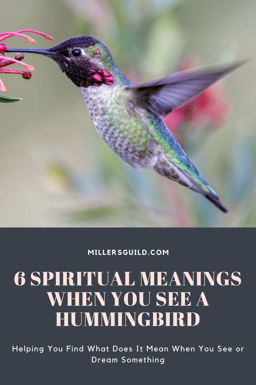 6 Spiritual Meanings When You See a Hummingbird 1