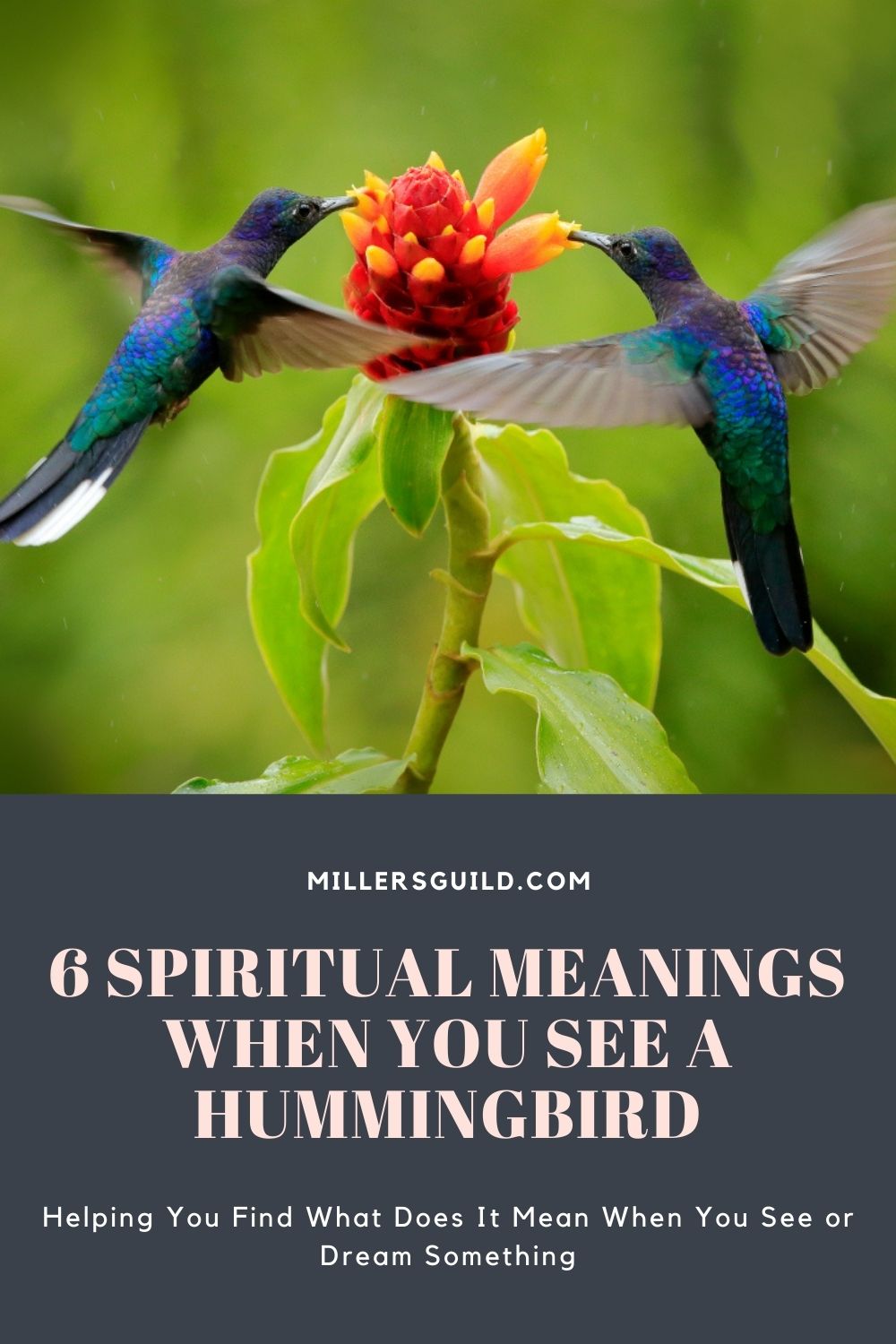 6 Spiritual Meanings When You See a Hummingbird 2