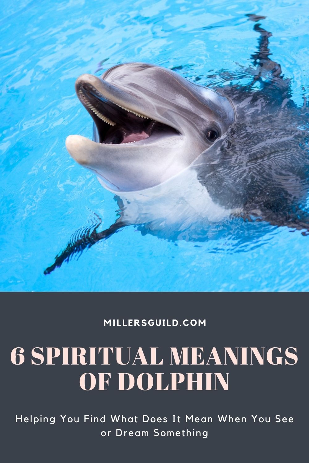 6 Spiritual Meanings of Dolphin 2