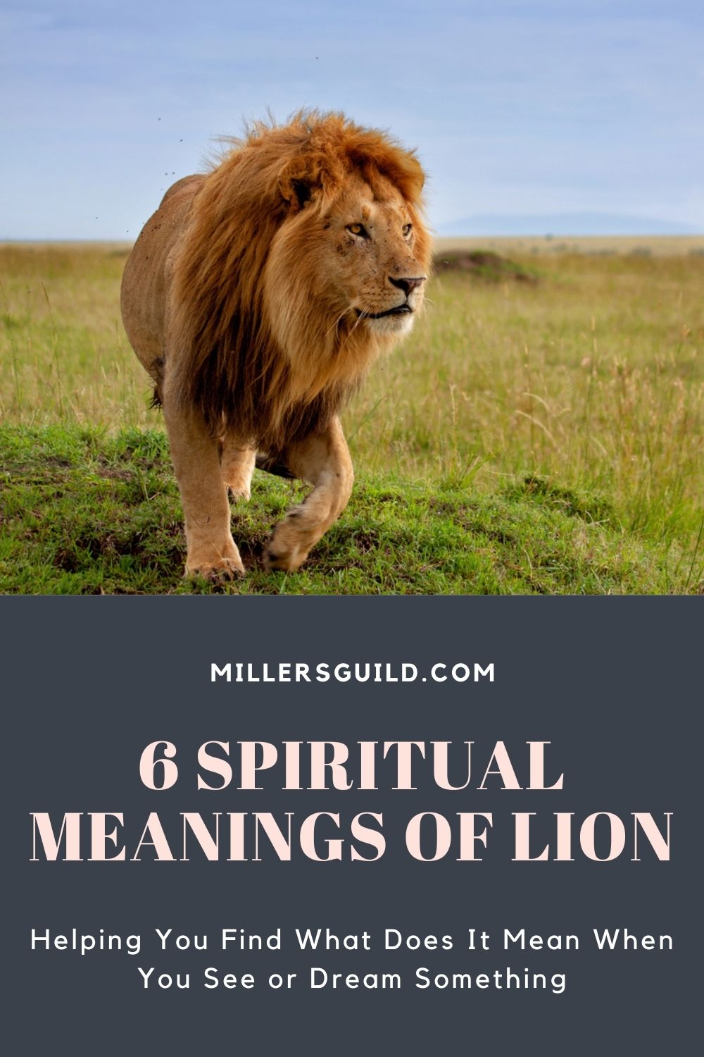 6 Spiritual Meanings of Lion 1