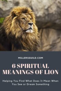 6 Spiritual Meanings of Lion