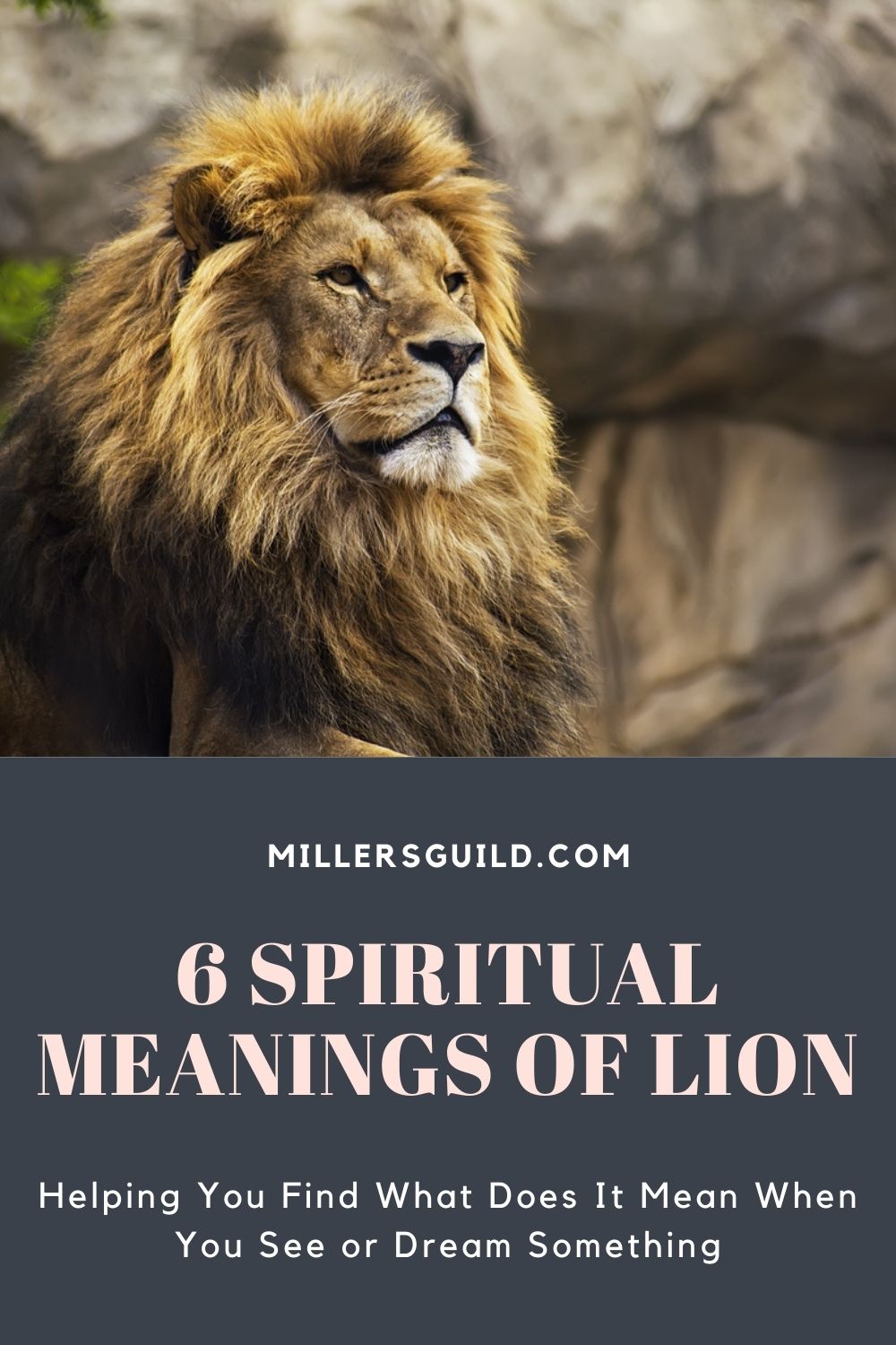 6 Spiritual Meanings of Lion 2