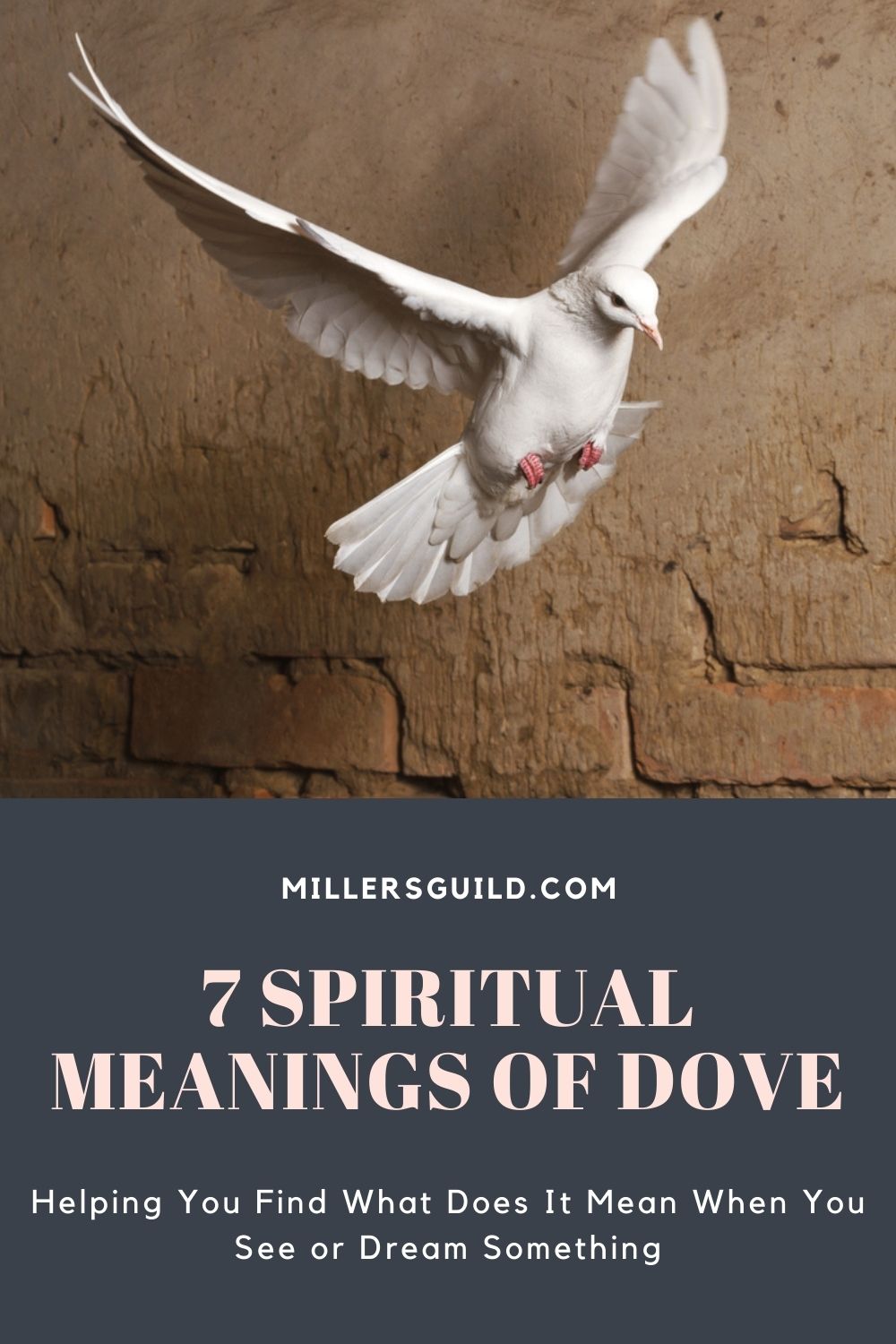 7 Spiritual Meanings of Dove 1