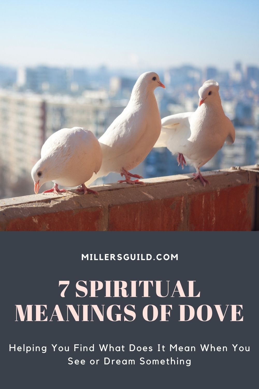 7 Spiritual Meanings of Dove 2