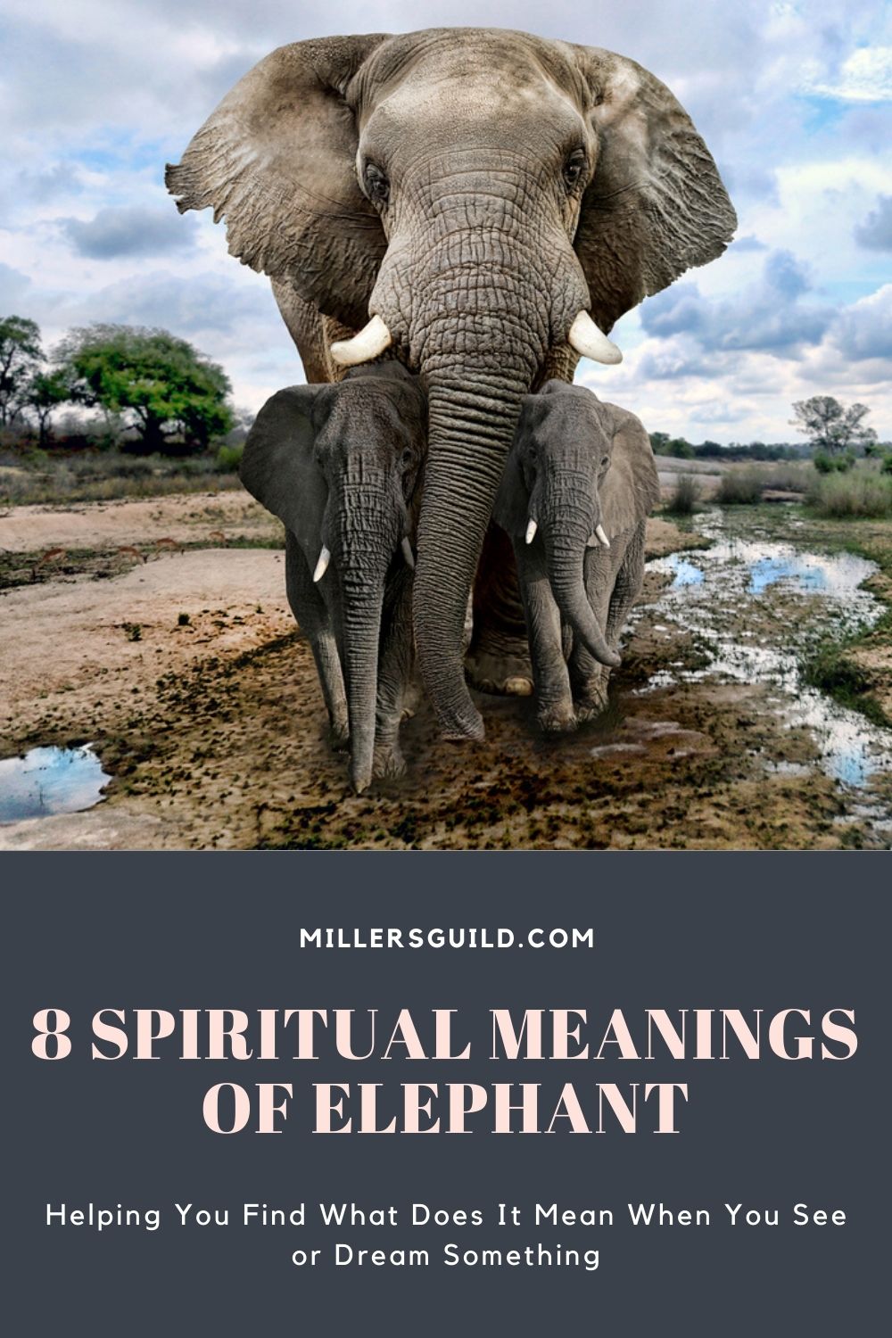 8 Spiritual Meanings of Elephant 2