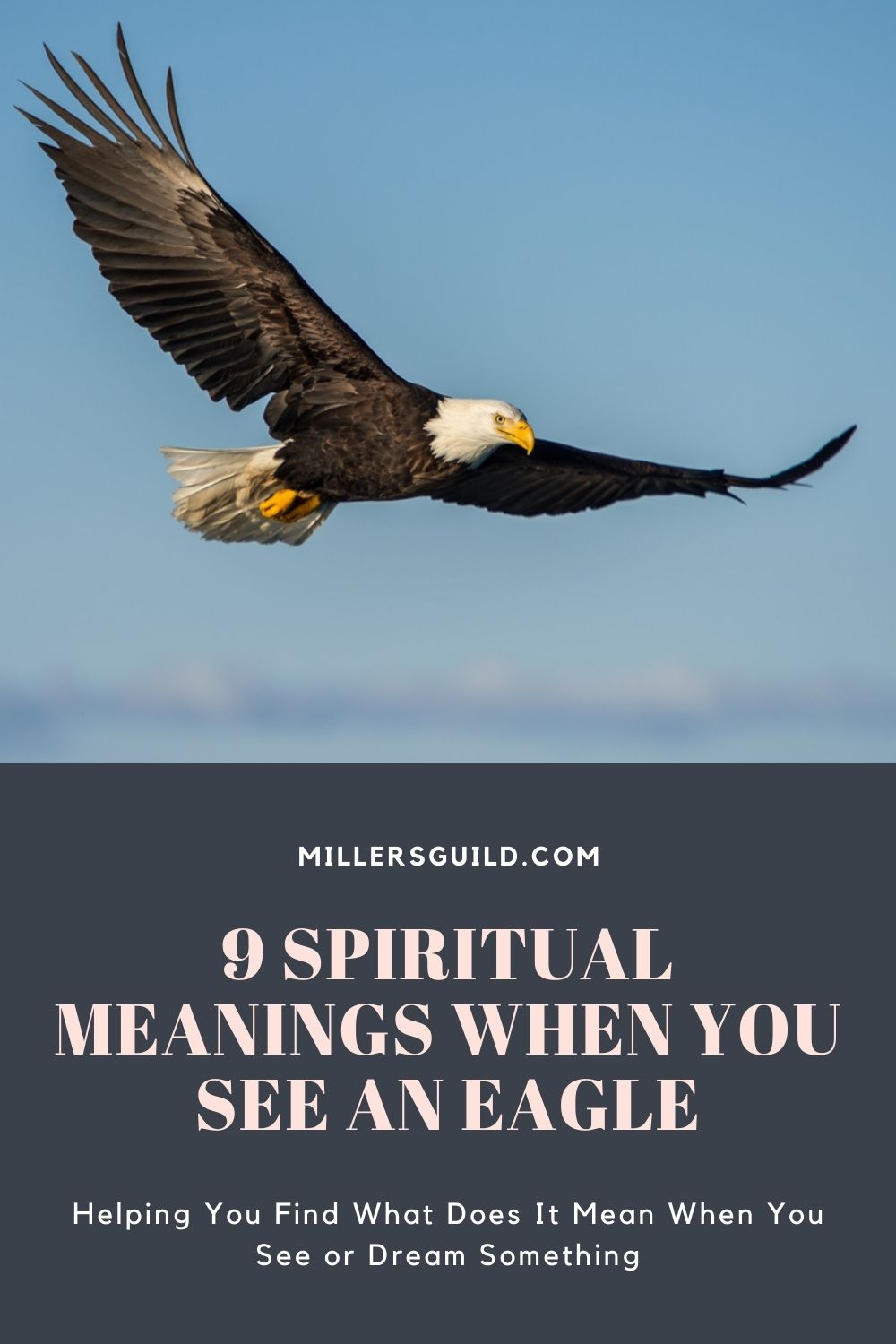 9 Spiritual Meanings When You See an Eagle 1