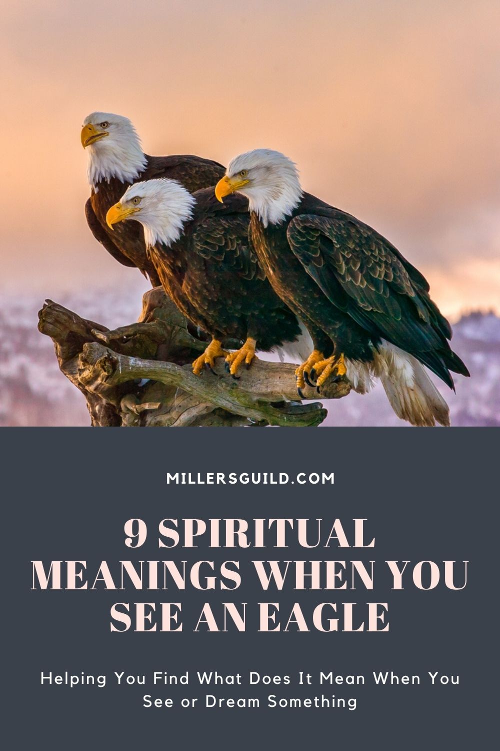 9 Spiritual Meanings When You See an Eagle 2