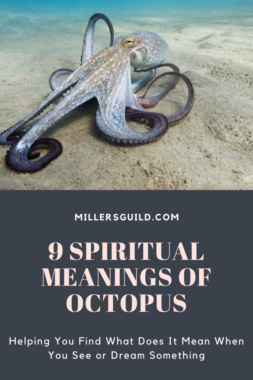9 Spiritual Meanings of Octopus 2