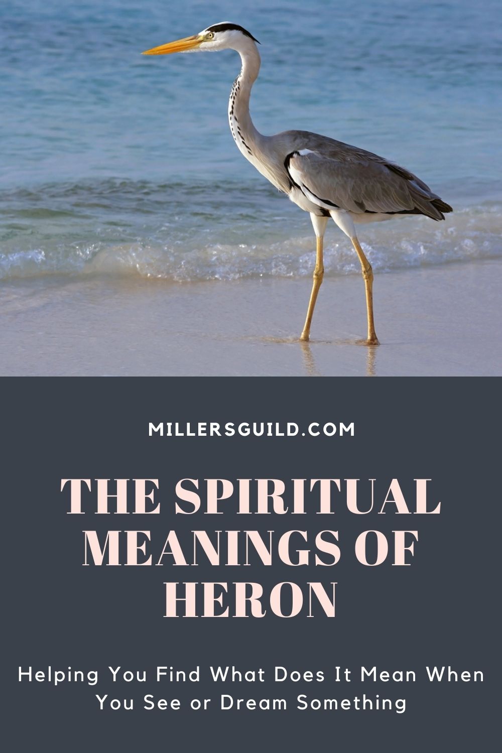 The Spiritual Meanings of Heron 2