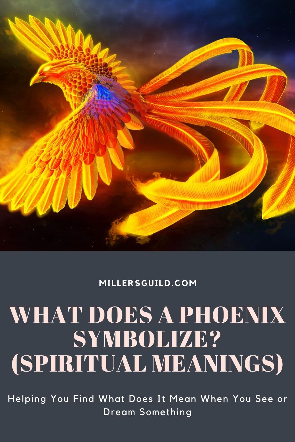 What Does a Phoenix Symbolize (Spiritual Meanings) 1