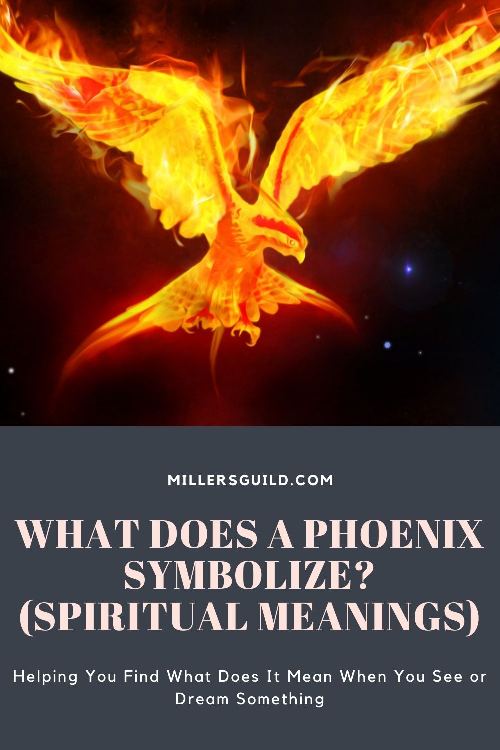 What Does a Phoenix Symbolize (Spiritual Meanings) 2