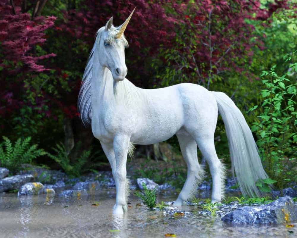 unicorn spirit animal
