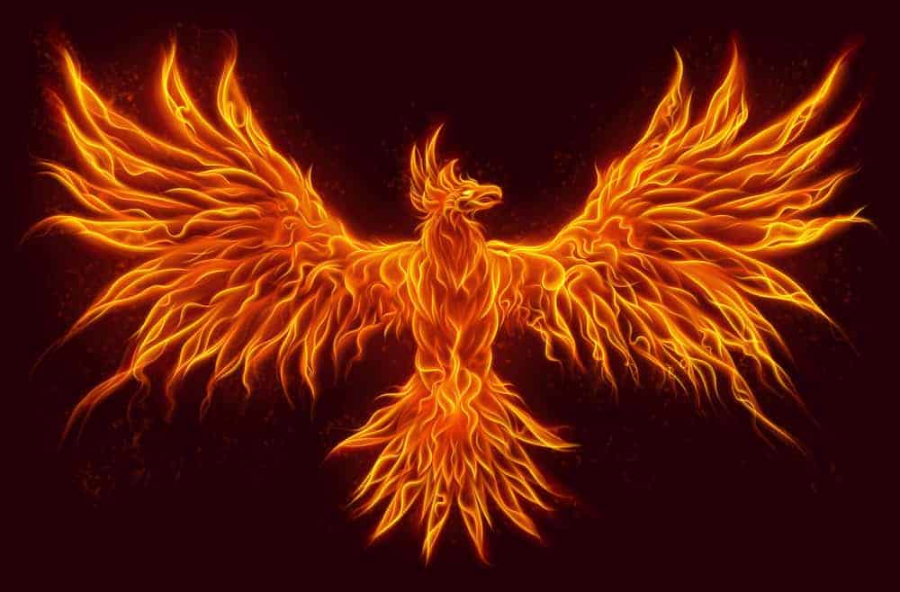 what does a phoenix represent