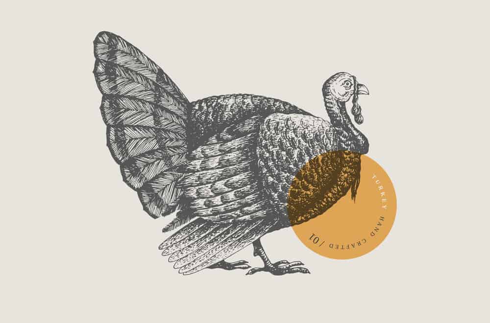 wild turkey symbolism